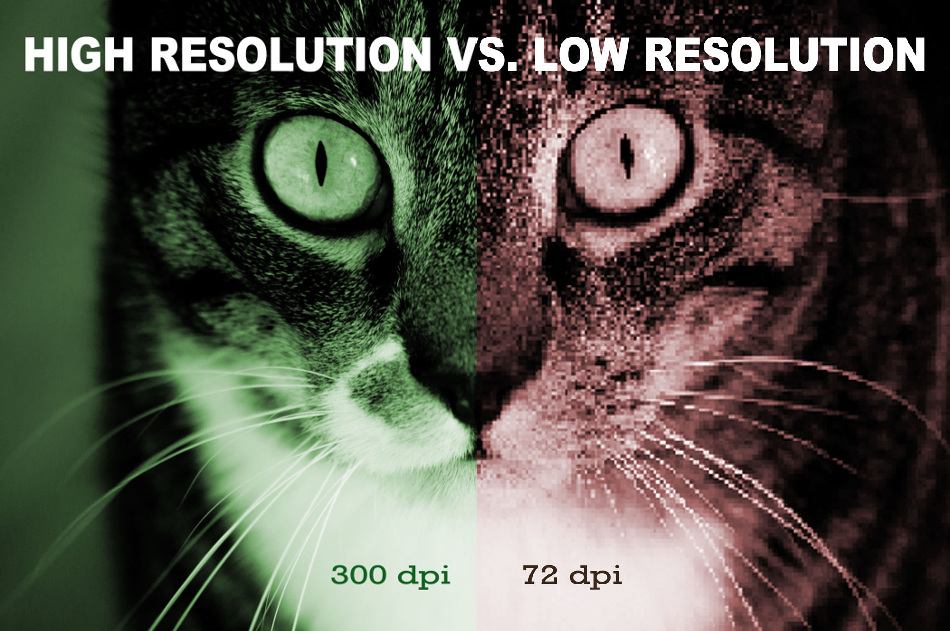 cat_RESOLUTIONsm high vs low resolution image